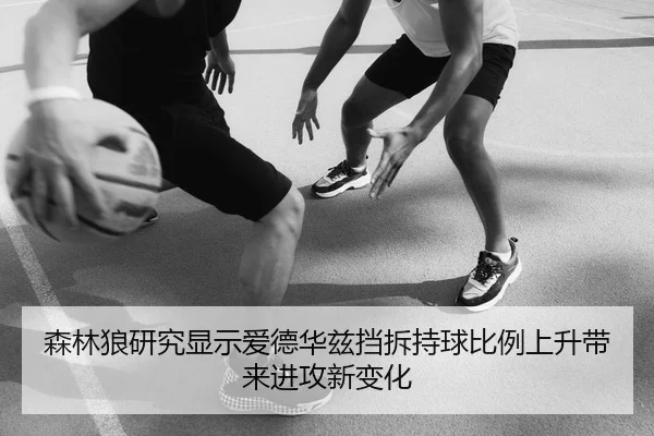 森林狼研究显示爱德华兹挡拆持球比例上升带来进攻新变化