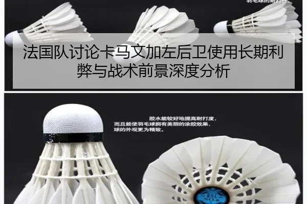 法国队讨论卡马文加左后卫使用长期利弊与战术前景深度分析